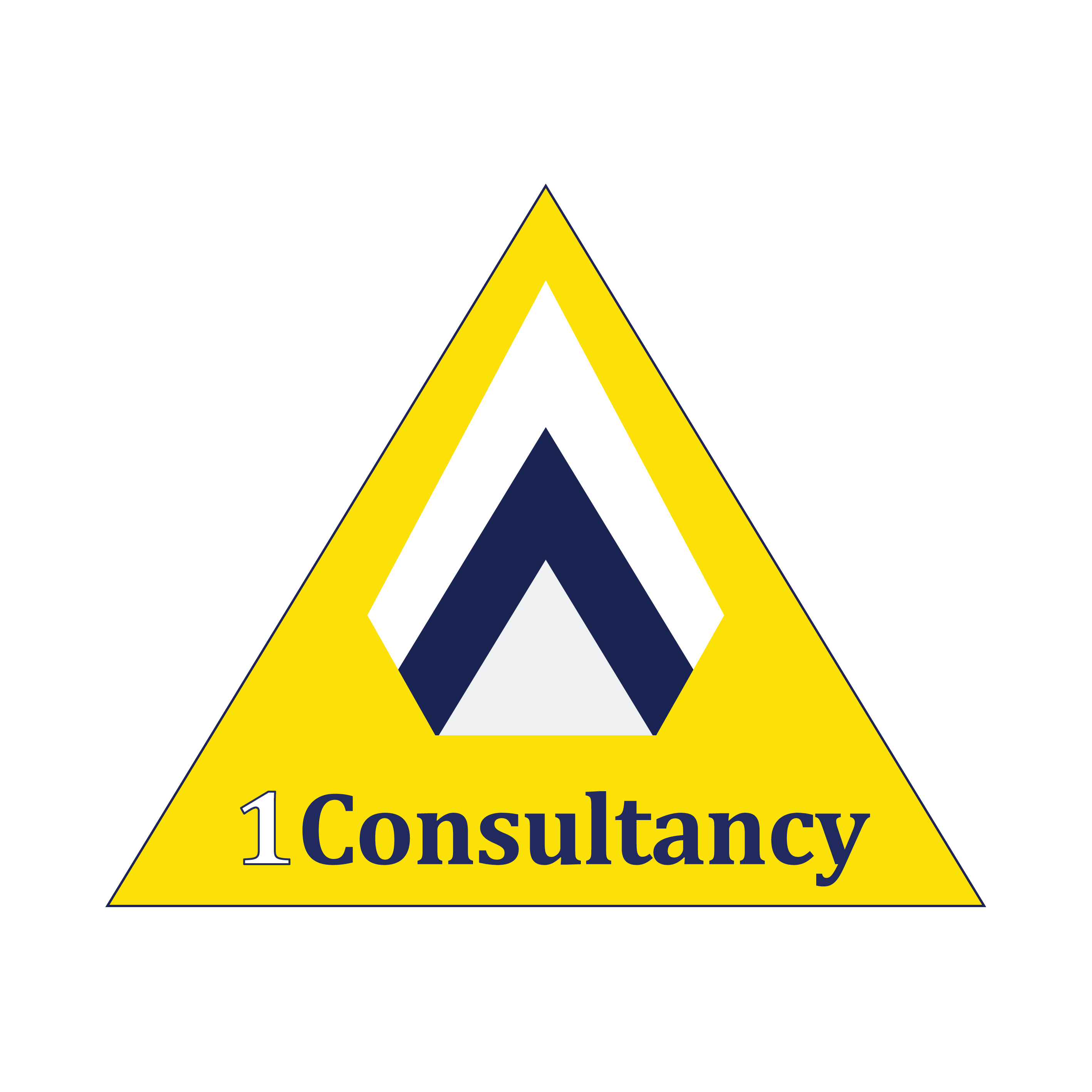 1 Consultancy